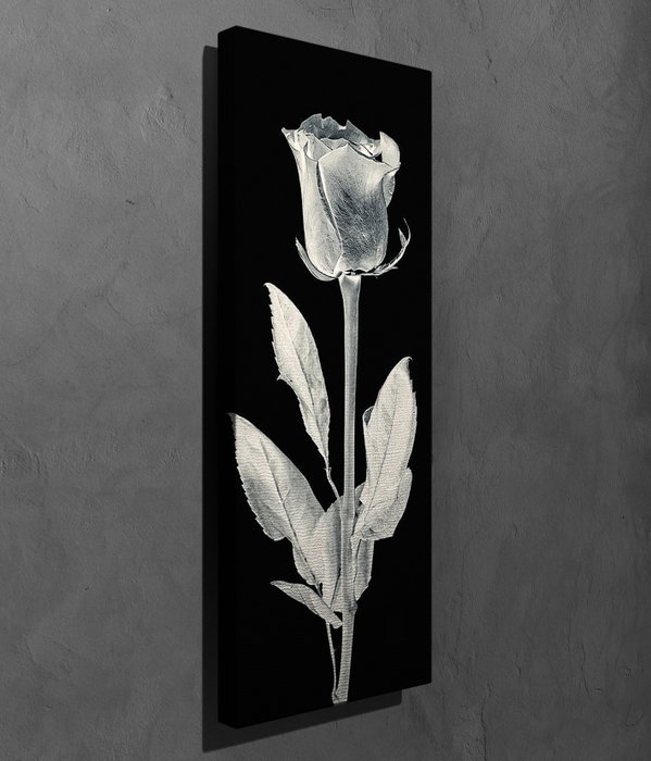 Wallity PC161 Lienzo Decorativo Multicolor 30 x 80 cm